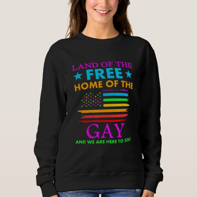 Sudadera Tierra Del Hogar Libre De La Gay Lgbtq 4 De Julio (Anverso)