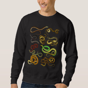 Sudadera Tipos educativos de serpientes
