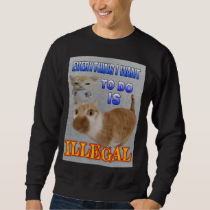 Sudadera Todo lo que quiero hacer son hombres ilegales