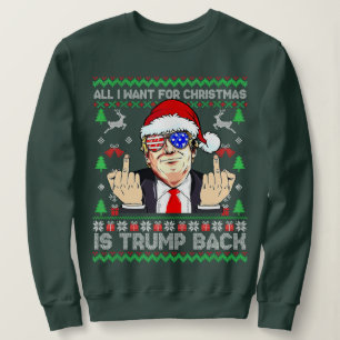 Sudadera Todo lo que quiero para los Navidades es el falso
