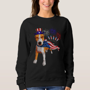 Sudadera Toro De Pit Con Fuegos Artificiales De Bandera Est