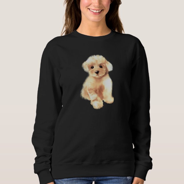 Sudadera Toy poodle dog ,breed,mini poodle puppy (Anverso)