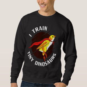 Sudadera Train Tiny Dinosaurs Chicken