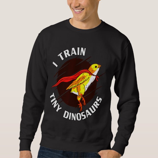 Sudadera Train Tiny Dinosaurs Chicken   (Anverso)