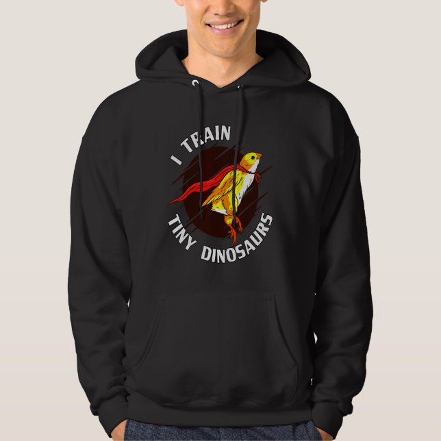 Sudadera Train Tiny Dinosaurs Chicken   (Anverso)