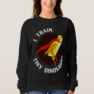 Sudadera Tren Dinosaurios Pequeños Pollos