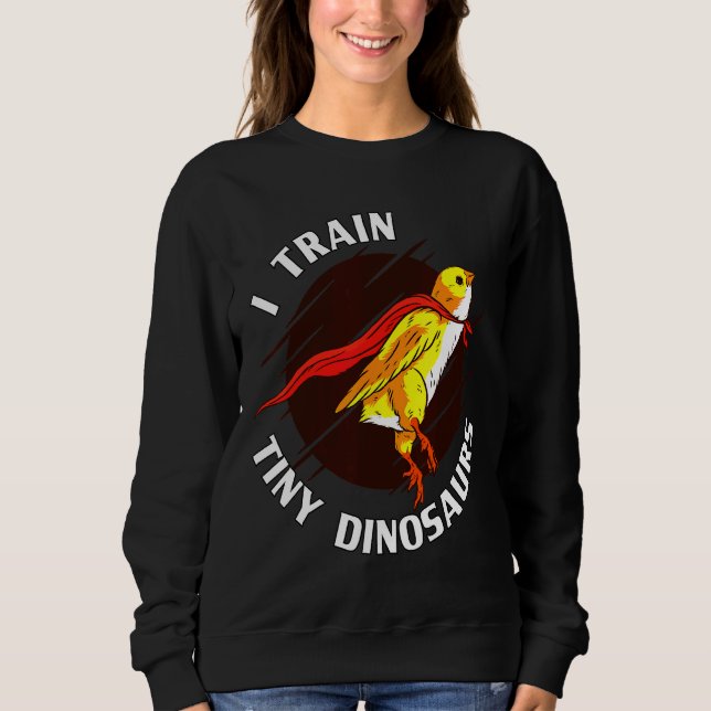 Sudadera Tren Dinosaurios Pequeños Pollos (Anverso)