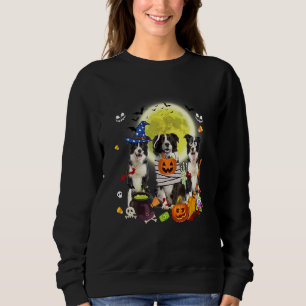 Sudadera Tres perros Border Collie Bruja Momia Espantosa Ha