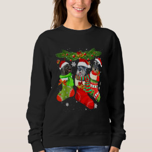 Sudadera Tres Schnauzer En Calcetín Navidad Santa X Mas