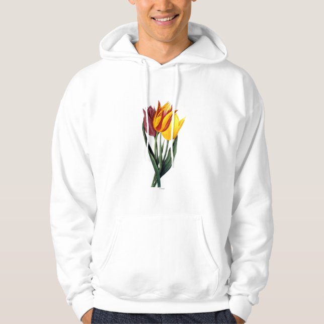 Sudadera Tulipán (Tulipa Gesneriana) (Anverso)