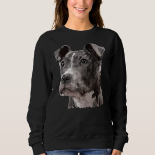 Sudadera Un amigo de Pitbull