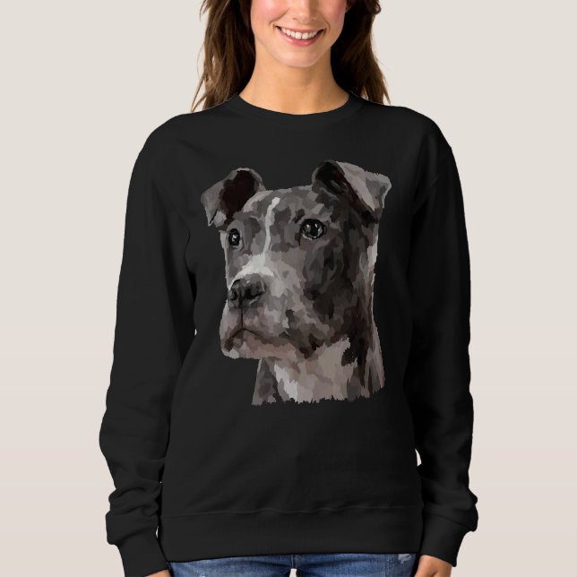 Sudadera Un amigo de Pitbull (Anverso)