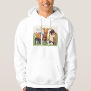 Sudadera Un extranjero asombrosamente