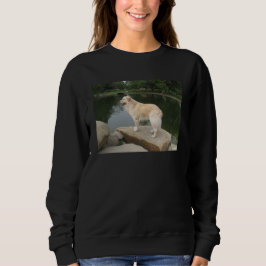 Sudadera Un perro en un estanque