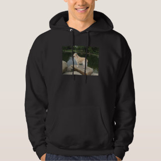 Sudadera Un perro en un estanque