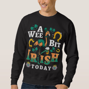 Sudadera Un poco irlandés hoy Flamingo Del Día De San Pat