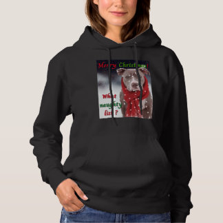 Sudadera Un Toro O Un Perro Terrier Bull De Staffordshire C