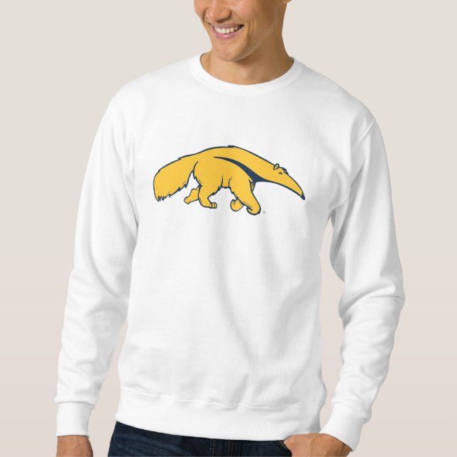 Sudadera Universidad de California, Irvine Anteater (Anverso)