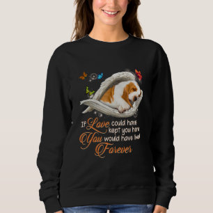 Sudadera Vagabunda Perdida De Perro Hermosa Mascota Me