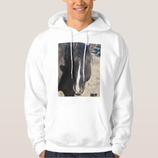 Sudadera Valor de S Steens