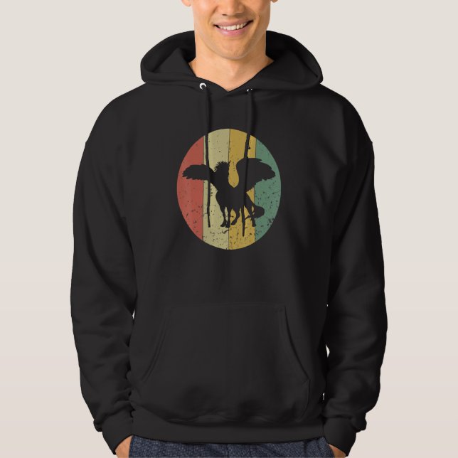 Sudadera Viejo Pegasus Retro Pegasus Silhouette 80s 90s (Anverso)