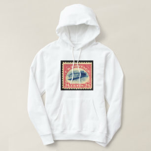 Sudadera Vintage 24c Inverted Jenny