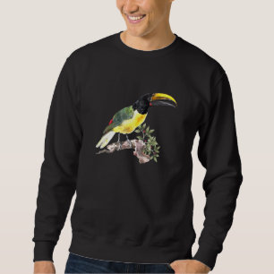 Sudadera Vintage Toucan Bird Ilustracion Por Aert Schouman