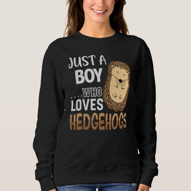 Sudadera Womens Hedgehog Just A Boy Who Loves Hedgehog Cost (Anverso)