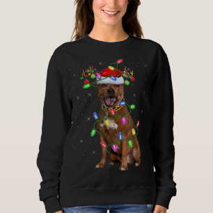 Sudadera Xmas Iluminación Santa Staffordshire Bull Terrier