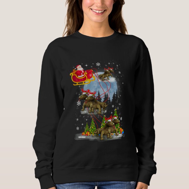 Sudadera Xmas Lighting Tree Santa Riding Komodo Dragon Chri (Anverso)