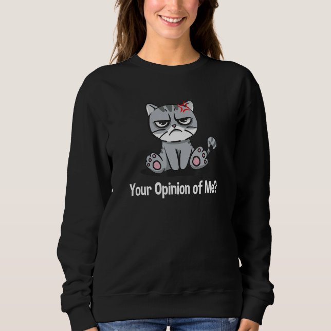 Sudadera Your Opinion of Me Sarcastic Coworker Sarcasm Offi (Anverso)