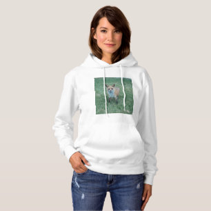 Sudadera zorro rojo en el parque de los mil robles