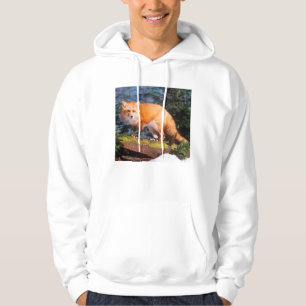 Sudadera Zorro Rojo en un tronco