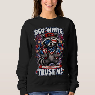 Sudaderas de Mapache de Fuegos Artificiales del 4