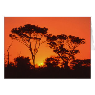 Sudáfrica.  Atardecer africano.