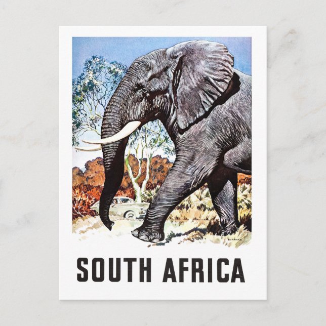 Sudáfrica, gran elefante, tarjeta postal de viaje  (Anverso)