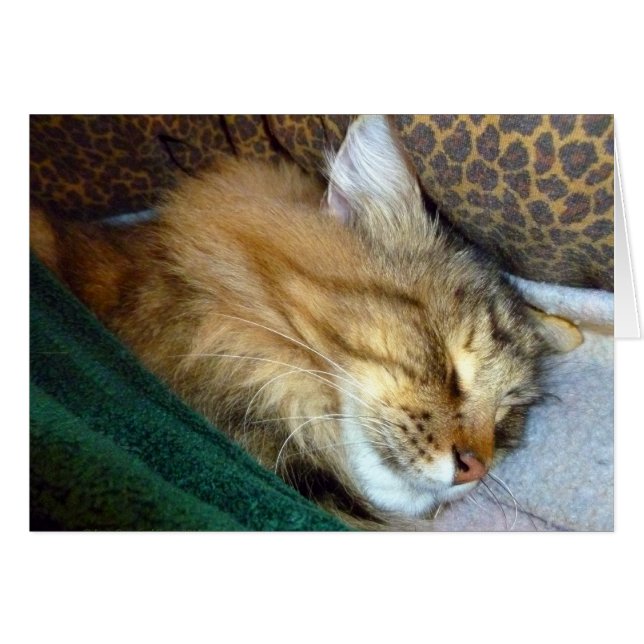 Sueño (Anverso (Horizontal))