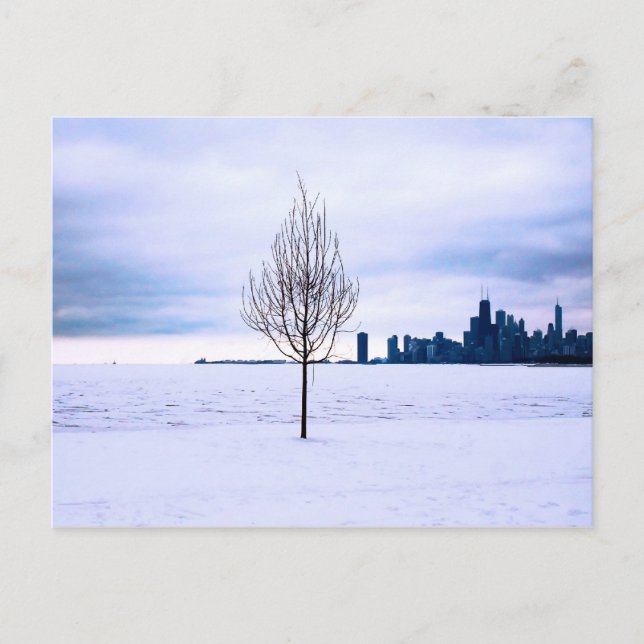 Sueño blanco - invierno en Chicago, postal (Anverso)