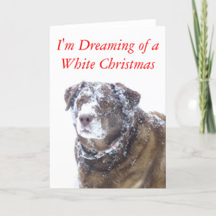 Sueño con un Navidad blanco, un laboratorio de cho