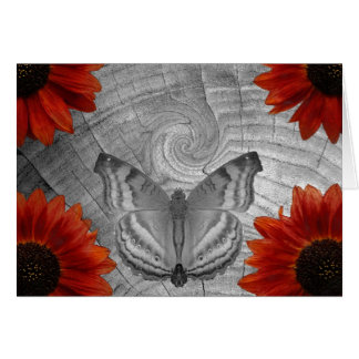Sueño de la mariposa