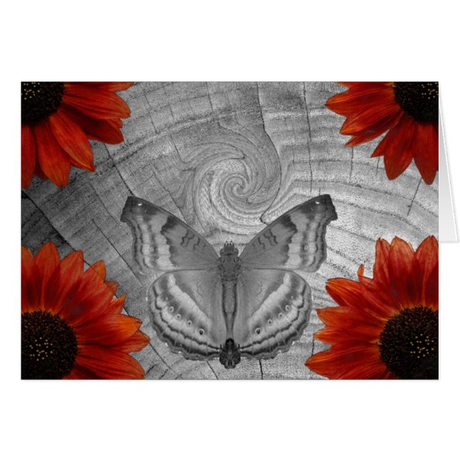 Sueño de la mariposa (Anverso (Horizontal))
