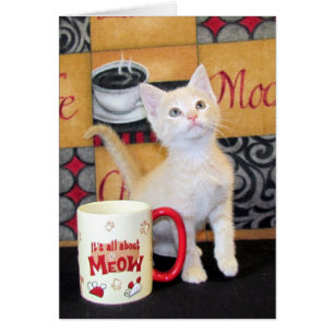 Sueño de la moca de Tuffy McDuff