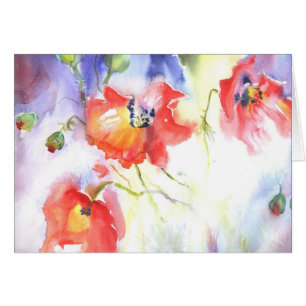 sueño de las amapolas del verano