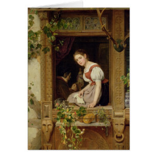 Sueño en el windowsill