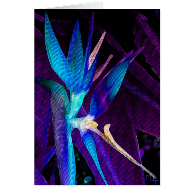 Sueño tropical (Frente)