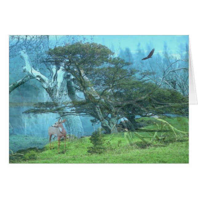 Sueños (Anverso (Horizontal))
