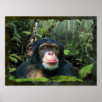 "SUEÑOS DE BOSQUES DE LLUVIA II" Poster de Arte Ch