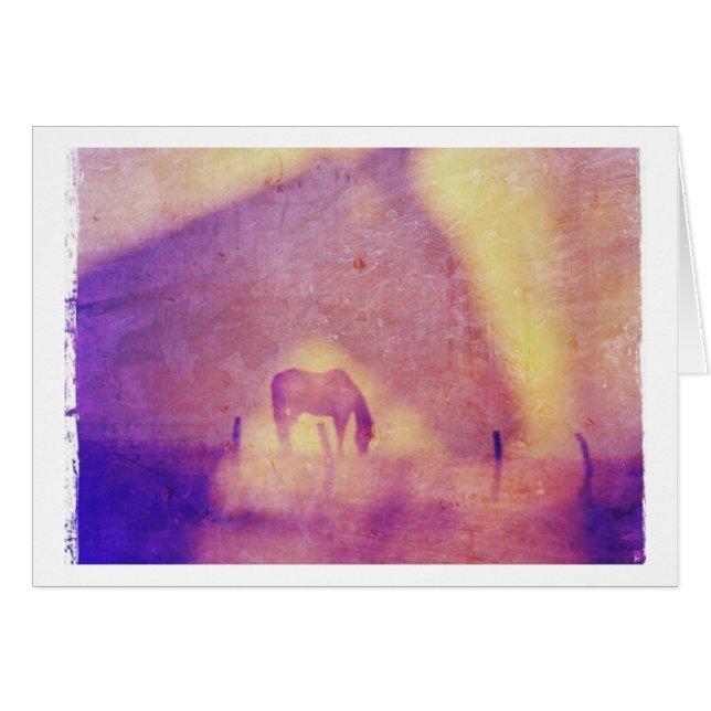 Sueños de caballo en todas las ocasiones (Anverso (Horizontal))