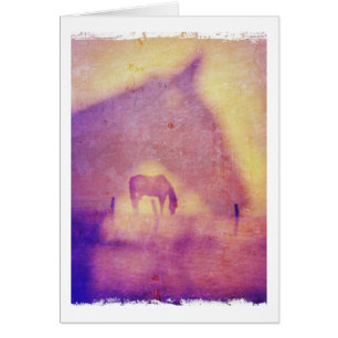 Sueños de caballo todas las ocasiones en blanco de