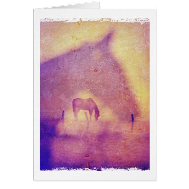 Sueños de caballo todas las ocasiones en blanco de (Frente)